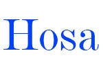 336576_hosa